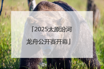 2025太原汾河龙舟公开赛开幕