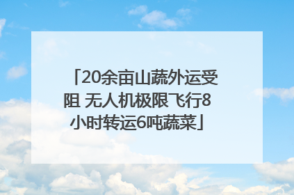20余亩山蔬外运受阻 无人机极限飞行8小时转运6吨蔬菜