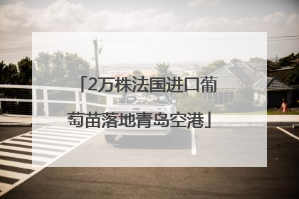 2万株法国进口葡萄苗落地青岛空港