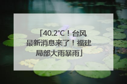 40.2℃！台风最新消息来了！福建局部大雨暴雨