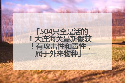 504只全是活的！大连海关最新截获！有攻击性和毒性，属于外来物种