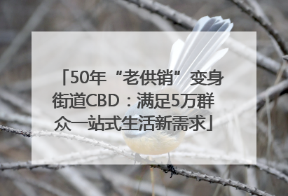 50年“老供销”变身街道CBD：满足5万群众一站式生活新需求