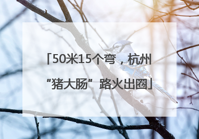 50米15个弯，杭州“猪大肠”路火出圈