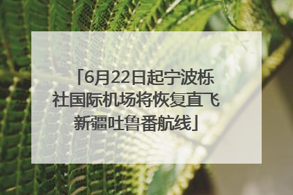 6月22日起宁波栎社国际机场将恢复直飞新疆吐鲁番航线