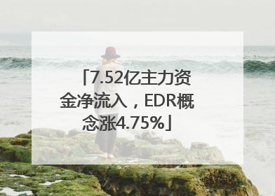 7.52亿主力资金净流入，EDR概念涨4.75%