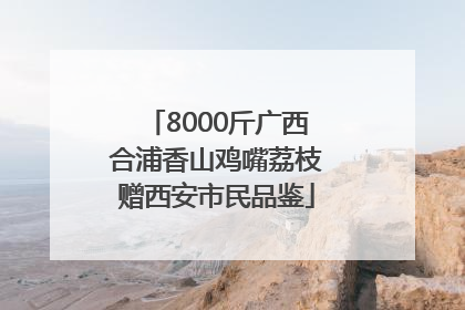 8000斤广西合浦香山鸡嘴荔枝赠西安市民品鉴