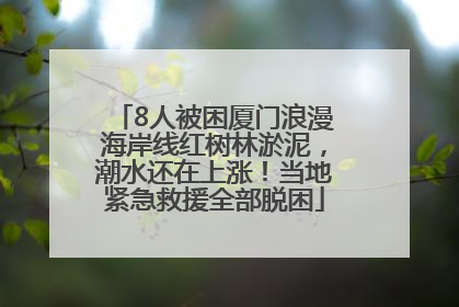 8人被困厦门浪漫海岸线红树林淤泥，潮水还在上涨！当地紧急救援全部脱困