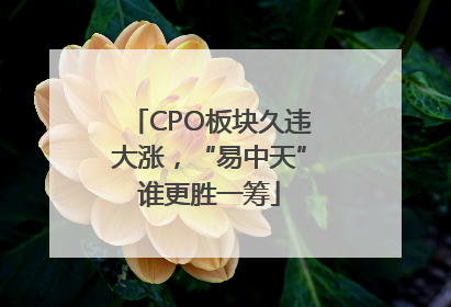 CPO板块久违大涨，“易中天”谁更胜一筹