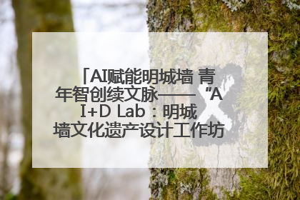 AI赋能明城墙 青年智创续文脉——“AI+D Lab：明城墙文化遗产设计工作坊”在南京开营