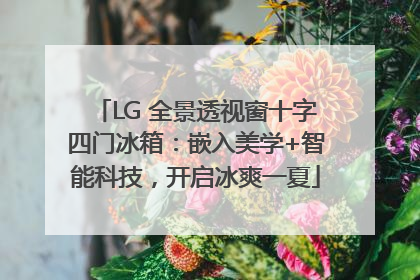 LG 全景透视窗十字四门冰箱：嵌入美学+智能科技，开启冰爽一夏