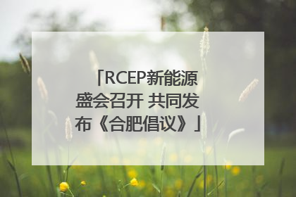 RCEP新能源盛会召开 共同发布《合肥倡议》