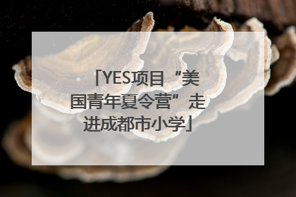 YES项目“美国青年夏令营”走进成都市小学
